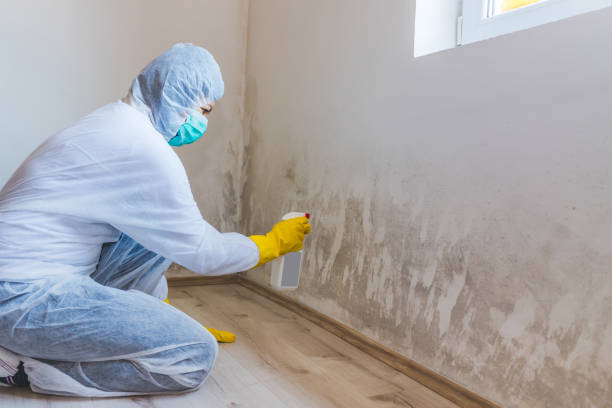 Mold inspector in Cherry Hill performing thermal imaging
